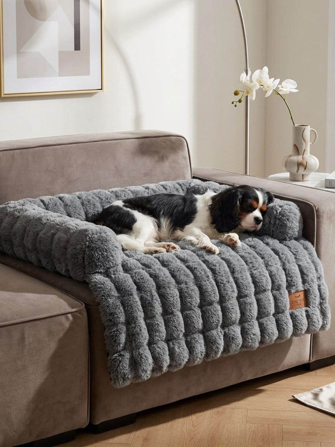 CloudPet™ – Lit Ultra Doux Premium pour Chiens et Chats