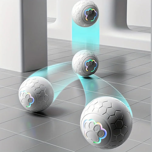 Balle Interactive