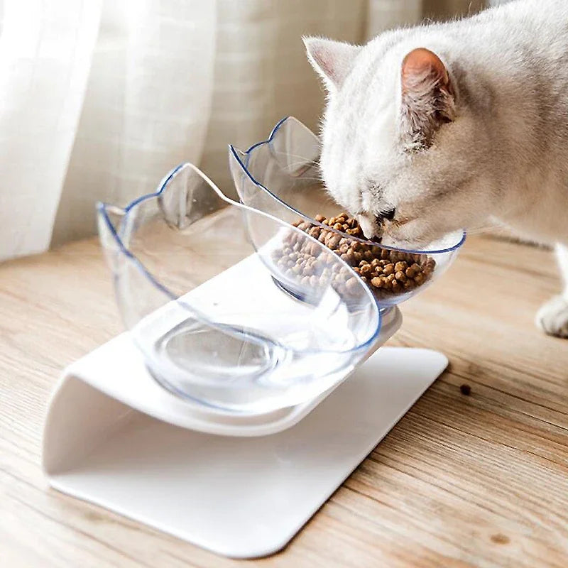 Bol surélevé pour chats
