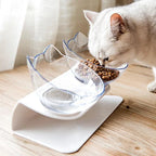 Bol surélevé pour chats