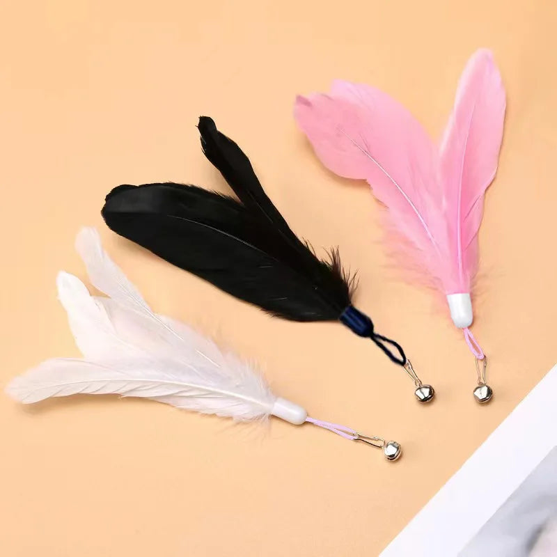 Canne à Plumes CLUB PATTE